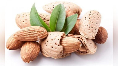 'BODOMDAN YuZ UChUN NIQOB  'ning rasmi