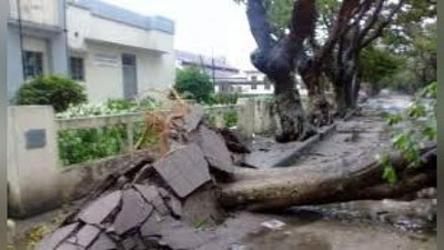 'Mozambikdagi suv toshqini talofatlar keltirmoqda 'ning rasmi