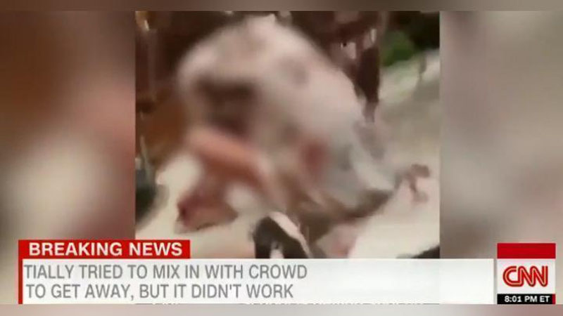 Изрображение 'ШКОЛЬНИКИ СНИМАЛИ СОБСТВЕННЫЙ РАССТРЕЛ ВО ФЛОРИДЕ (ВИДЕО)'