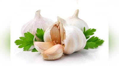 'САРИМСОҚПИЁЗ МИКРОБЛАРНИ ЙЎҚОТАДИ'ning rasmi