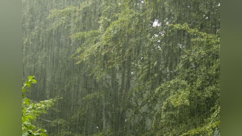 'Kuchli yomg`ir Gruziyadagi qishloqni suvga cho`ktirib yuborayozdi (Video) 'ning rasmi