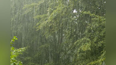 'Kuchli yomg`ir Gruziyadagi qishloqni suvga cho`ktirib yuborayozdi (Video) 'ning rasmi