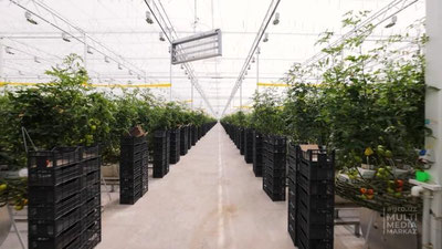 Изрображение 'Минсельхоз дал рекомендации фермерам и животноводам в период сильных морозов'