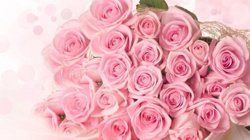 Изрображение 'Президент Ислам Каримов поздравил женщин Узбекистана'