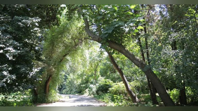 'Ertadan boshlab Toshkent Botanika bog`i yopiladi'ning rasmi