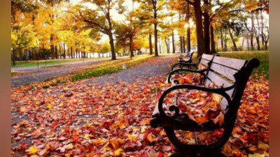 '10 noyabrdan boshlab, havo harorati pasayadi'ning rasmi