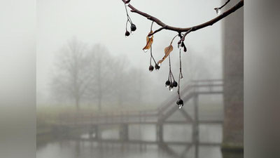 '13 март куни вақти-вақти билан ёмғир ёғади'ning rasmi