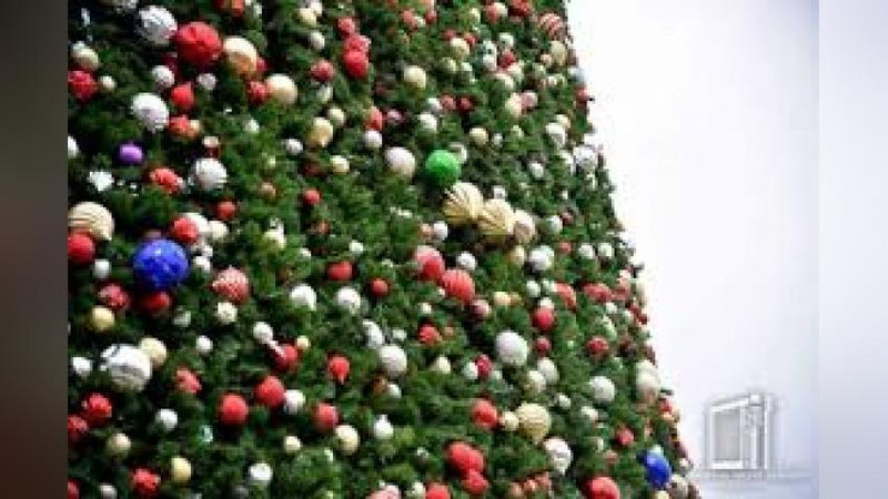 'Toshkentdagi Yangi yil archasi MDHning eng baland archalari uchligiga kirdi'ning rasmi