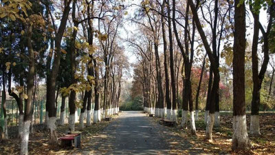 Изрображение 'Правительство определило, какими должны быть "Зеленые парки" и "Зеленые общественные парки"'