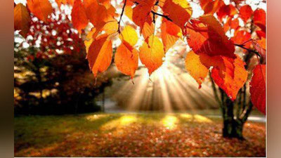 '11 oktyabrga  ob-havo  ma`lumoti'ning rasmi