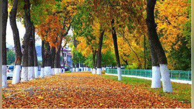 '16 OKTYaBRGA  OB-HAVO  MA`LUMOTI'ning rasmi