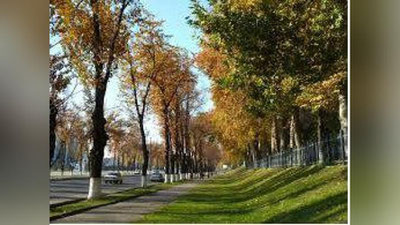 '24 OKTYaBRGA  OB-HAVO  MA`LUMOTI'ning rasmi