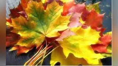 '25 oktyabrga  ob-havo  ma`lumoti'ning rasmi