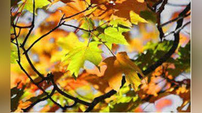 '30 oktyabrga  ob-havo  ma`lumoti'ning rasmi