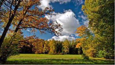 '6 noyabrga  ob-havo  ma`lumoti'ning rasmi