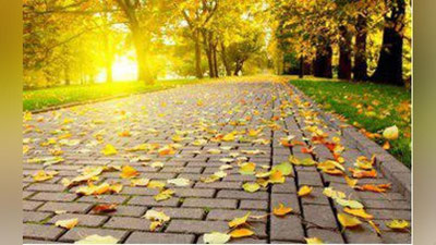 '8 noyabrga  ob-havo  ma`lumoti'ning rasmi