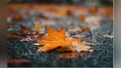 'O`zbekistonda 29 noyabr kuni ob-havo qanday bo`ladi?'ning rasmi