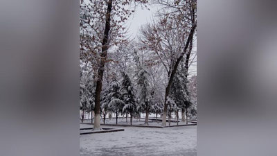 Изрображение 'В воскресенье синоптики обещают снег и усиление ветра'