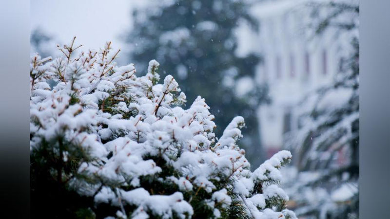 '"Ўзгидромет" Ўзбекистонда ҳаво совиши ҳақида шошилинч ахборот берди    'ning rasmi