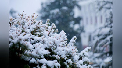 '"Ўзгидромет" Ўзбекистонда ҳаво совиши ҳақида шошилинч ахборот берди    'ning rasmi