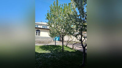 Изрображение 'Пострадал ли будущий урожай фруктов во время снегопада: мнение эксперта'