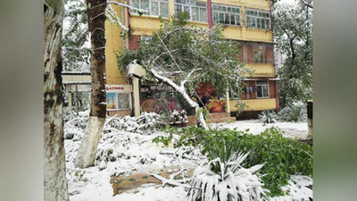 Изрображение 'В Алмалыке из-за непогоды обесточены 60% домов'