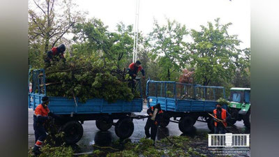 Изрображение 'Работникам сферы благоустройства установили надбавку к зарплате в зависимости от выслуги лет'