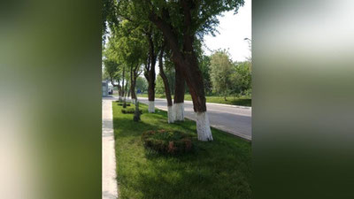 Изрображение 'Погода будет переменчивой на неделе'