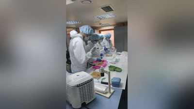 Изрображение 'Ученые секвенировали геном коронавируса, выявленный у заболевших в Узбекистане'