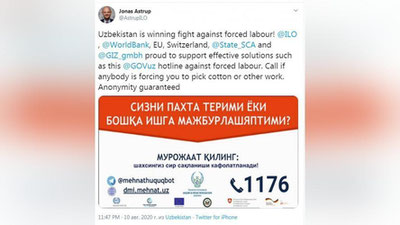 Изрображение 'Советник МОТ прокомментировал успехи Узбекистана в ликвидации принудительного труда'