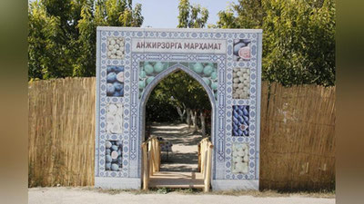 'Bugungacha saqlanib qolgan Amir Temur bog`i: U hamon meva beradi (fotosayohat)'ning rasmi