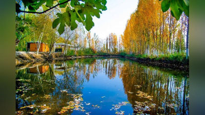 'Fotosuratlarda aks etgan Oltiariqdagi kuz manzaralari'ning rasmi