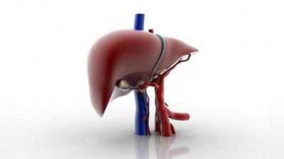 'Tuya suti jigar sirroziga davo bo`ladimi?'ning rasmi