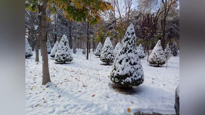 Изрображение 'Синоптики рассказали, сколько продлятся аномальные холода в Узбекистане'