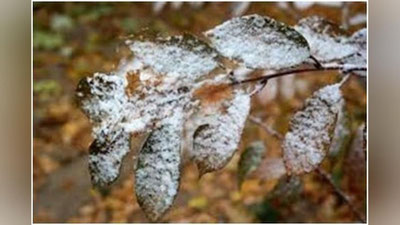 'Ertaga O`zbekistonning ba`zi joylarida qor yog`adi'ning rasmi