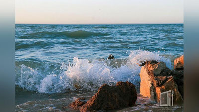 'To`dako`l va Quyimozor suv omborlari xalqaro Ramsar konvensiyasi ro`yxatiga kiritildi'ning rasmi