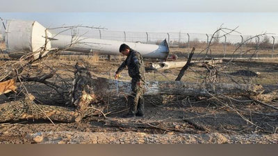Изрображение 'Запущен Телеграм-бот для приема обращений о вырубке или повреждении деревьев'