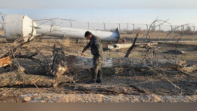 Изрображение 'В Сергели незаконно повалили 14 деревьев: экологи подсчитали ущерб'