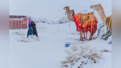 'Sahroi Kabirda qor yog`di(foto)'ning rasmi