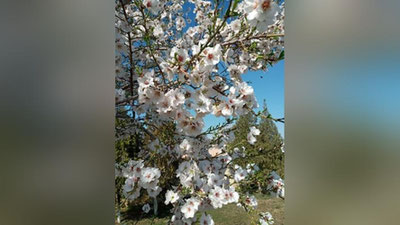 Изрображение 'На неделе февральская жара будет бить рекорды'