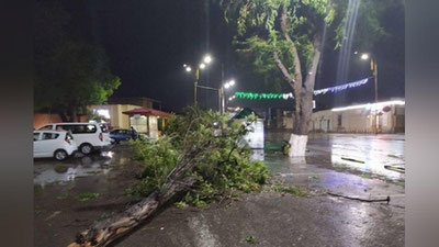 'FVV O`zbekistonda uch kun kuchli shamol bo`lishidan ogohlantirdi'ning rasmi
