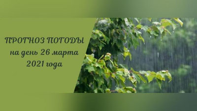 Изрображение 'В Ташкенте в течение дня временами дождь: погода на 26 марта'
