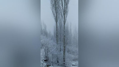 'Kechikkan bahor: Qashqadaryoda qor yog`moqda (foto)'ning rasmi