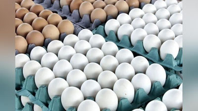 'O`zbekistonning qaysi hududida eng ko`p tuxum etishtirilgan?'ning rasmi