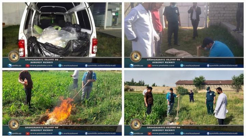 Изрображение '"Внутренние органы неизвестного происхождения": в Гузаре сожгли 630 кг странного мяса'