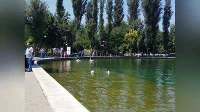 Изрображение 'Прогноз погоды на 23 июня'