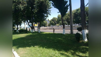 Изрображение 'В Ташкенте до +40: прогноз погоды на 29 июня'