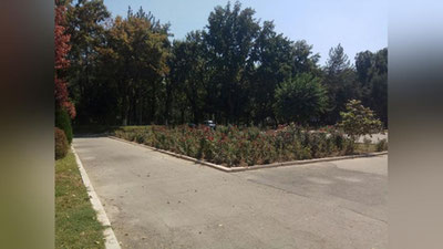 Изрображение 'Какая погода нас ждет в последний день лета?'