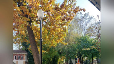 '19 oktyabr kuni qaysi viloyatda qanday ob-havo bo`lishi ma`lum qilindi'ning rasmi