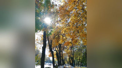 Изрображение 'В Узбекистане сохраняется теплая погода: прогноз на 26 октября'